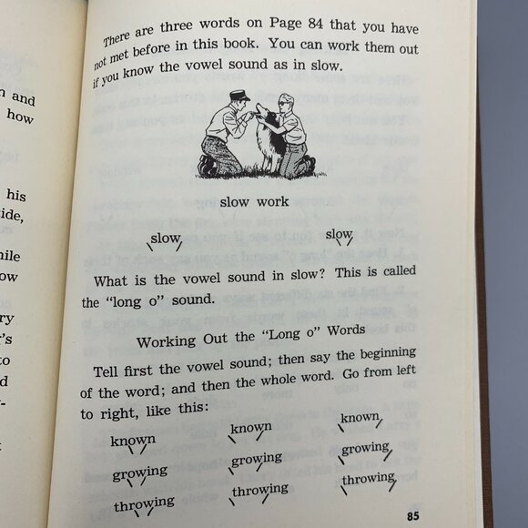 Vintage 1958 Tommy O'Toole and the Forest Fire Childrens Book in Excellent Shape - Picture 15 of 16